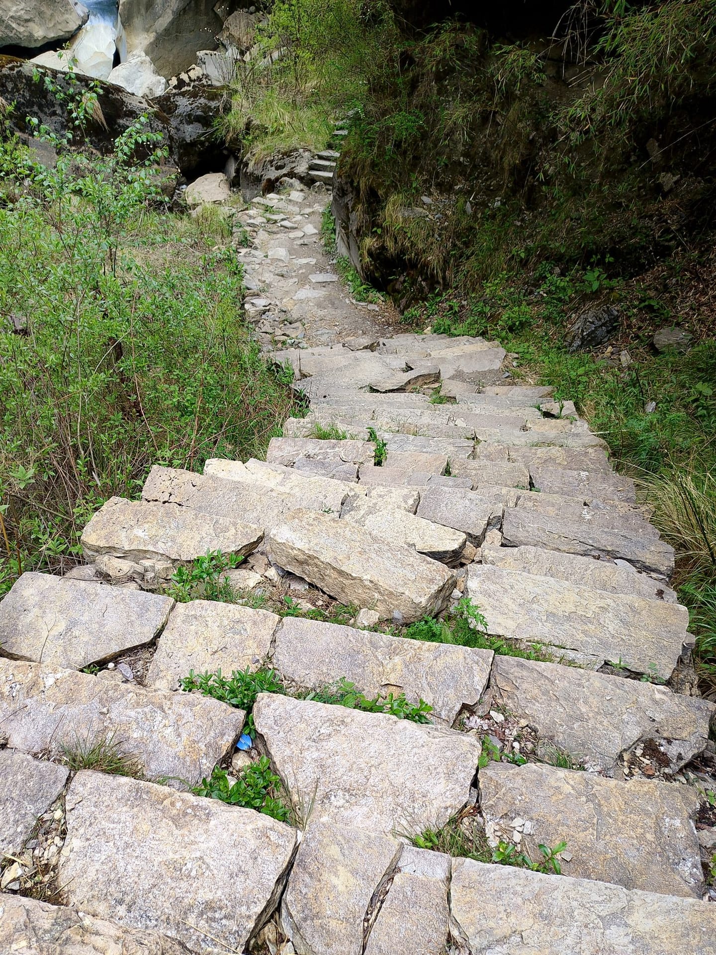 Worn stone steps climbing through green undergrowth on a village trail