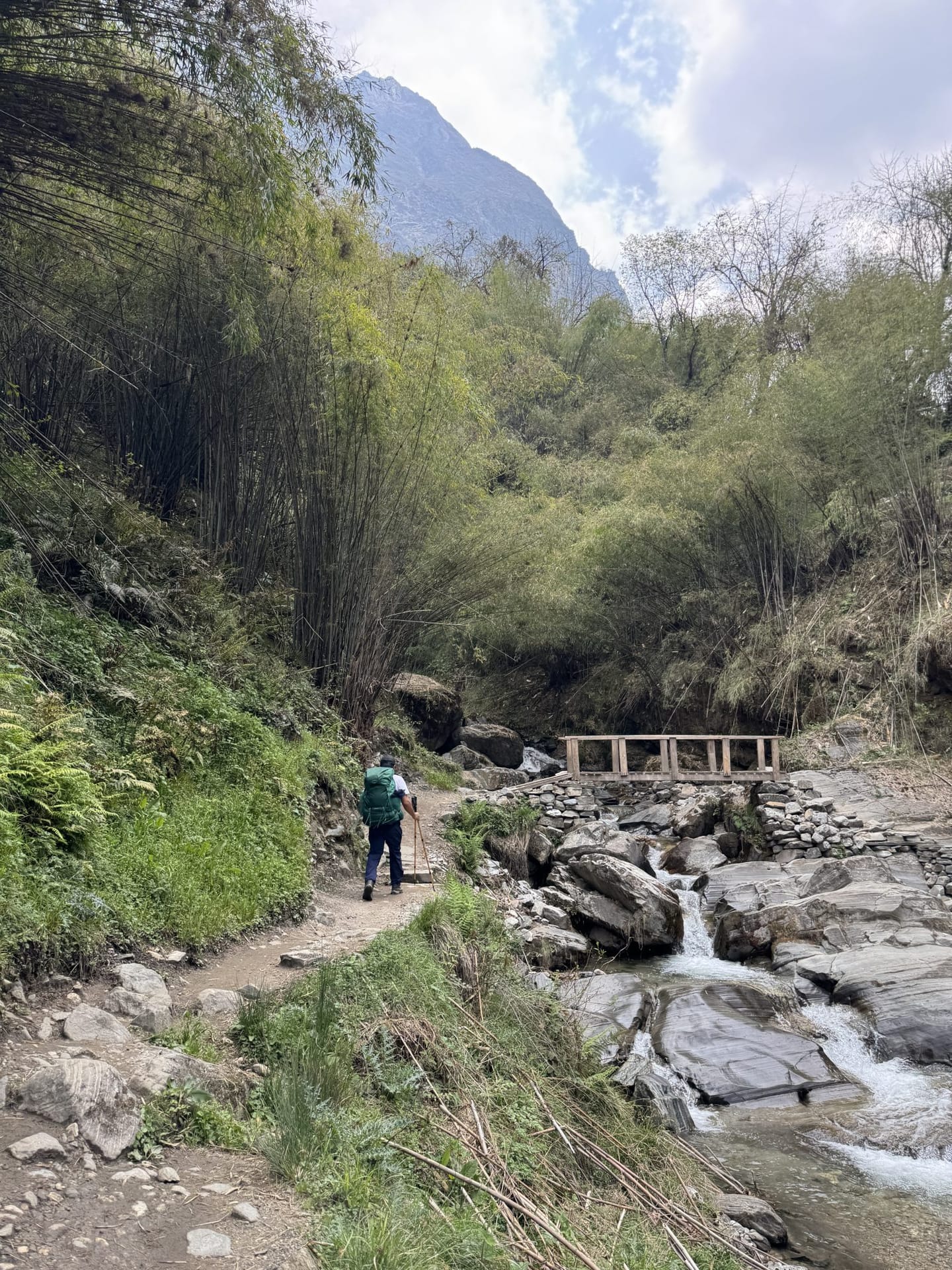 A trekker with a green pack and a walking stick on a trail through bamboo forest, beside a stream and a wooden footbridge