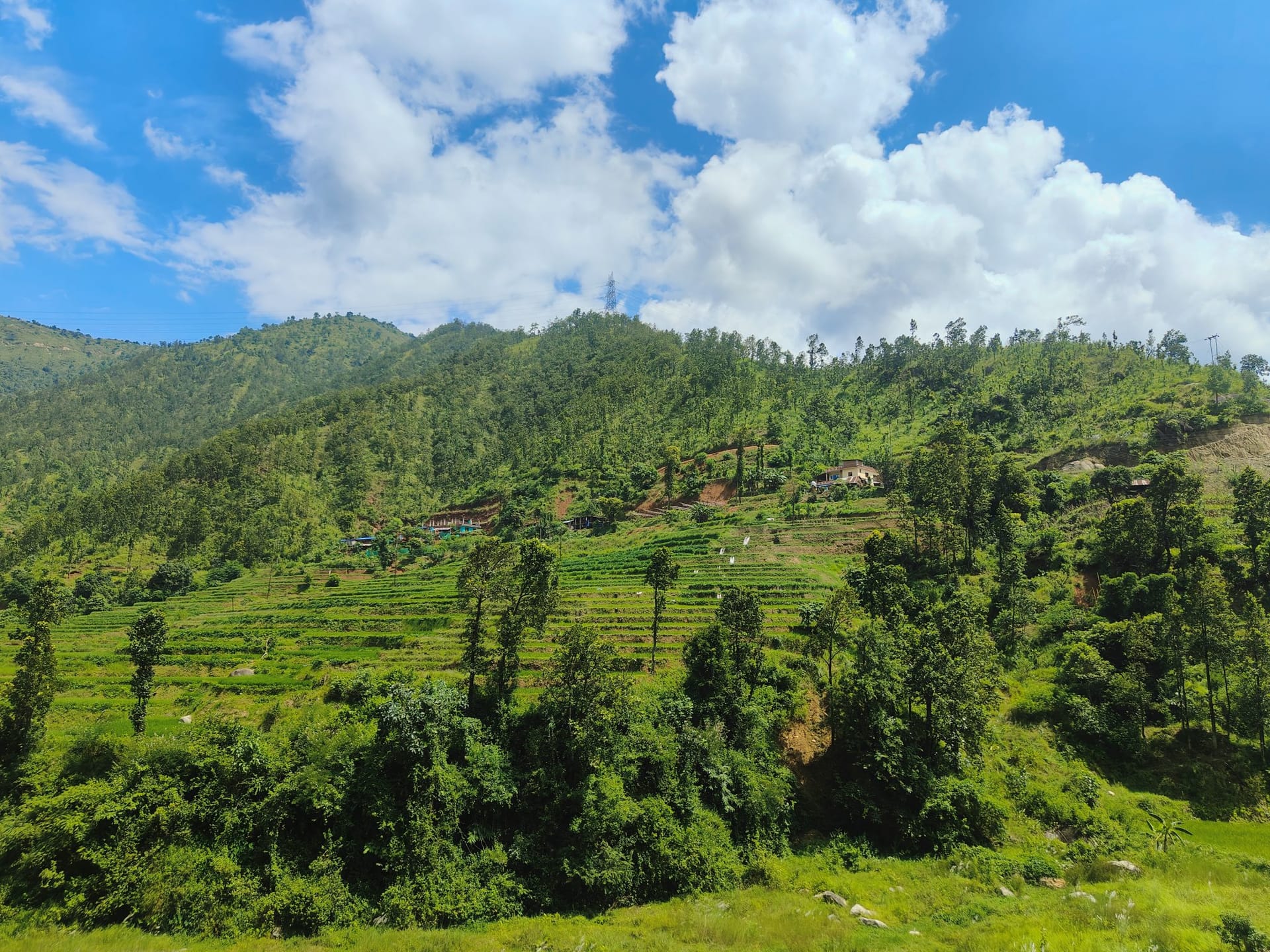 Terraced fields cut into a steep green hillside under monsoon cloud
